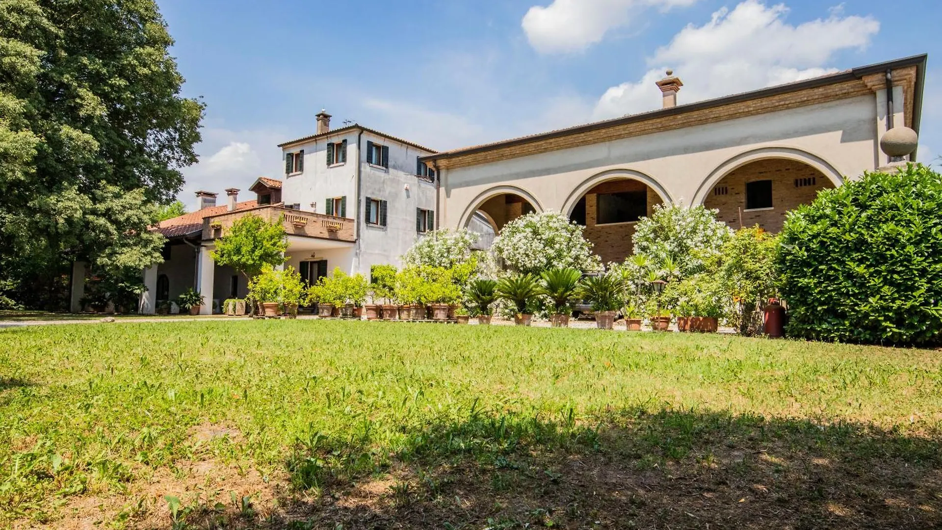 B&B La Villa Del Vecchio Platano Vigonovo